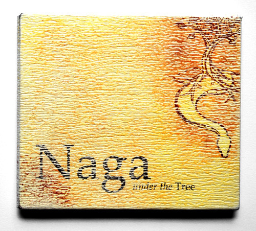 ../_images/naga-cover.jpg